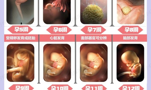 有没有孕妈吃澳洲黄金素吃到生的-吃了澳洲黄金素还要吃孕妇奶粉吗网 :分享吃澳佳宝黄金素还用吃叶酸吗-有没有孕妈吃澳洲黄金素吃到生的知识